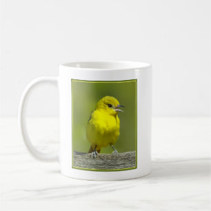 Mug Loriole de verger - Photographie originale