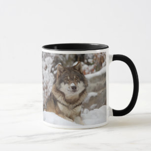 Mug Loup d'hiver