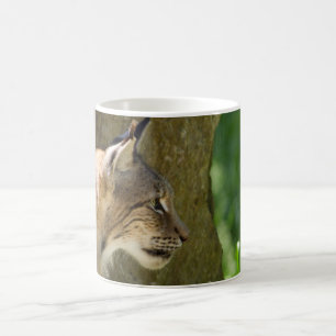 Mug Lynx eurasien