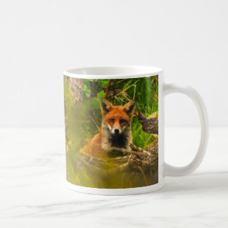 MUG M. FOX