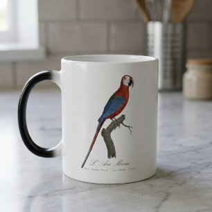 Mug Magic Ara chloroptère