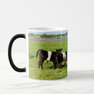 Mug Magic Bébé Belted Vaches Galloway Dans Le Pays,