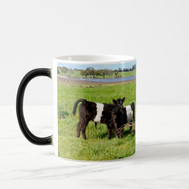 Mug Magic Bébé Belted Vaches Galloway Dans Le Pays, (Gauche)