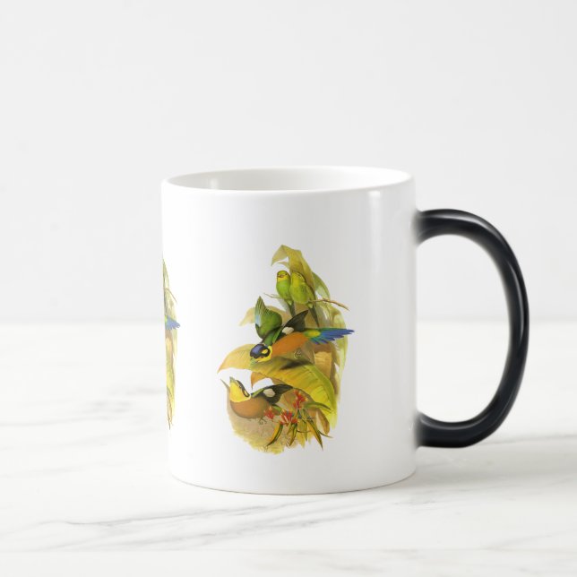 Mug Magic Broadbill Long-coupé la queue (Droite)
