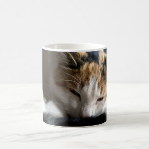 Mug Magic Chat Calico