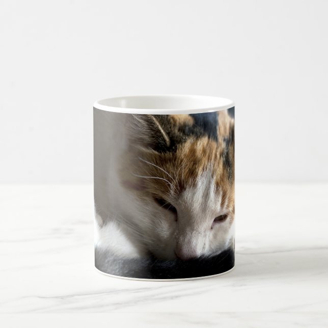 Mug Magic Chat Calico (Centre)