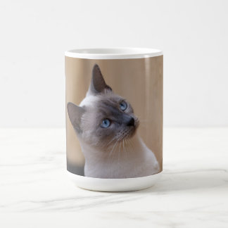 Mug Magic Chat de Siamese