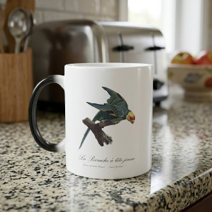 Mug Magic Conure de Caroline, Conuropsis carolinensis