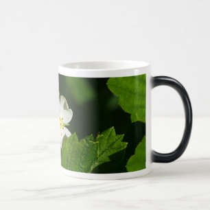 Mug Magic Fleur de fraises sauvages