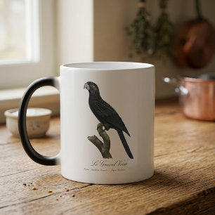 Mug Magic Grand Vasa, Coracopsis Vasa Illustration