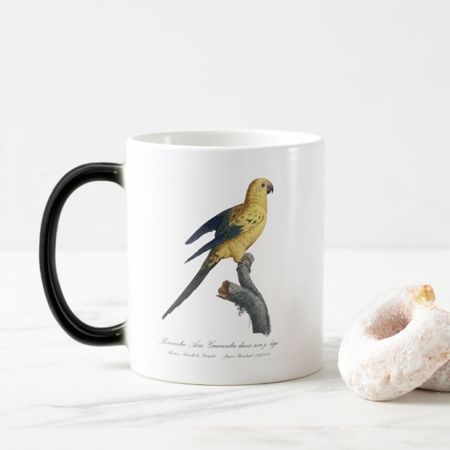 Mug Magic Guarouba dans fils jeune âge / Sun parakeet (Avec donut)