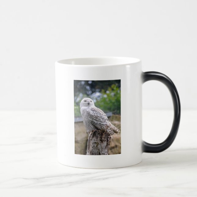 Mug Magic Hibou des neiges (Droite)