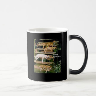 Mug Magic Ils Dawgs !