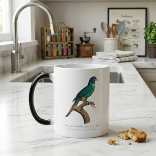 Mug Magic Jeune loriquet arc-en-ciel Trichoglossus moluccanu