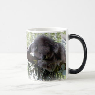 Mug Magic Koala câlin