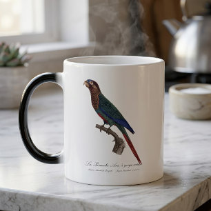 Mug Magic La conure emmaillotée, Pyrrhura Picta