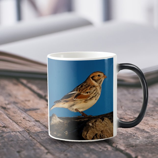 Mug Magic Longspur de la Laponie sur un journal éclairé (Lapland Longspur on Beach Driftwood 11 oz Coffee Mug Cover Photo.)