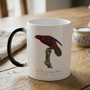 Mug Magic Lori à queue brune, Trichoglossus borneus