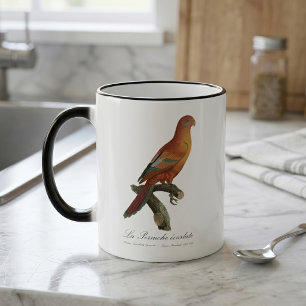 Mug Magic Lori de Bornéo, Trichoglossus borneus