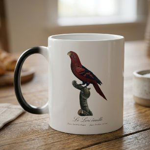 Mug Magic Lori réticulé, Trichoglossus reticulatus
