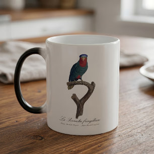 Mug Magic Loriquet à couronne bleue, Vini Australis