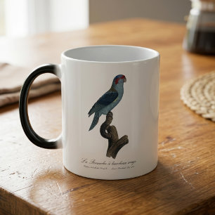 Mug Magic Loriquet à tête bleue, Trichoglossus concinnus