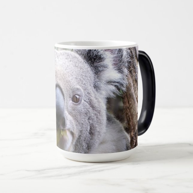 Mug Magic Ours de Koala (Devant droit)