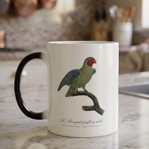 Mug Magic Perroquet à joues rouges mâle, Geoffroyus geoffroy