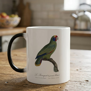 Mug Magic Perroquet à queue rouge, Amazona Brasiliensis