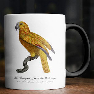 Mug Magic Perroquet de Paradis de Cuba, Psittacus Paradisi