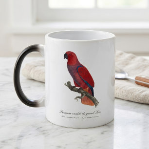 Mug Magic Perroquet éclectus de Vosmaer, Eclectus Roratus Vo