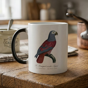 Mug Magic Perroquet Gris du Congo Facteur Rouge Psittacus Er