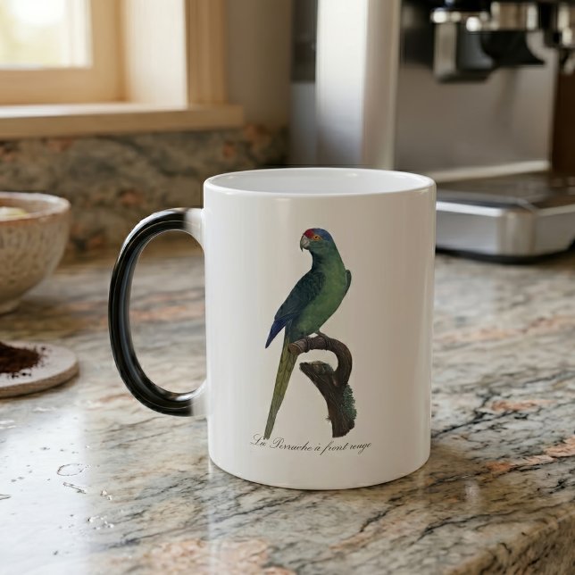 Mug Magic Perruche à front orange, Eupsittula Canicularis (Orange-Fronted Parakeet, Eupsittula Canicularis. Color Morph Mug)