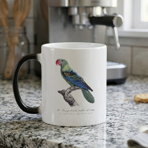 Mug Magic Perruche à gros bec, Tanygnathus megalorynchos