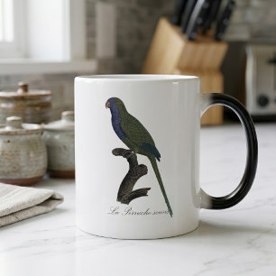 Mug Magic Perruche Moine, Myiopsitta Monachus