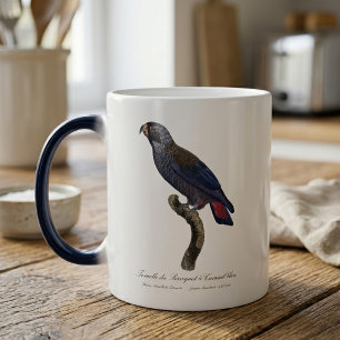 Mug Magic Pionus fuscus, ou Pion gris-perle ou Pionus sombre