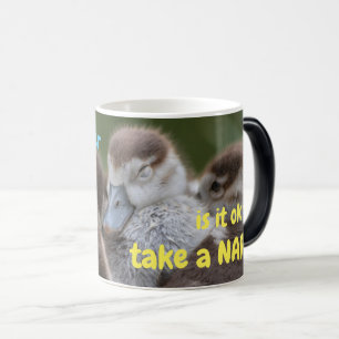 Mug Magic Quand est-ce qu'il est possible de faire une siest