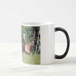 Mug Magic Quelques chevaux dans l'herbe verte