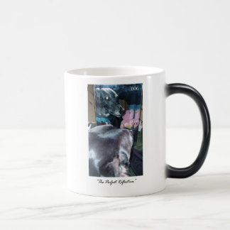 Mug Magic Réflexion parfaite - Dieu/chien