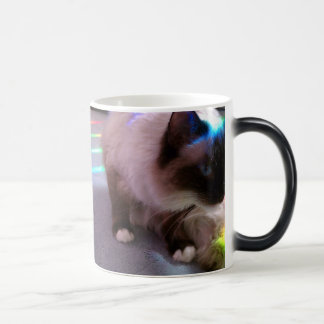 Mug Magic Surprise ! CatM