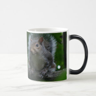 Mug Magic un plus grand écureuil