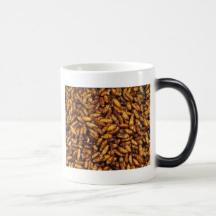 Mug Magic Vers de soie frits ... Thai Street Food