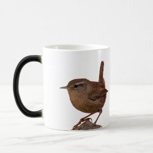 Mug Magic Wren