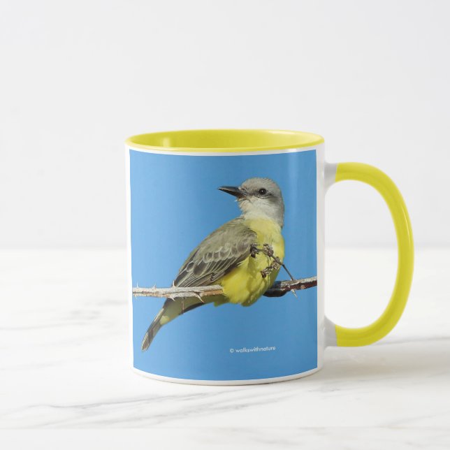 Mug Magnifique Tropical Kingbird sur Blackberry Branch (Droite)
