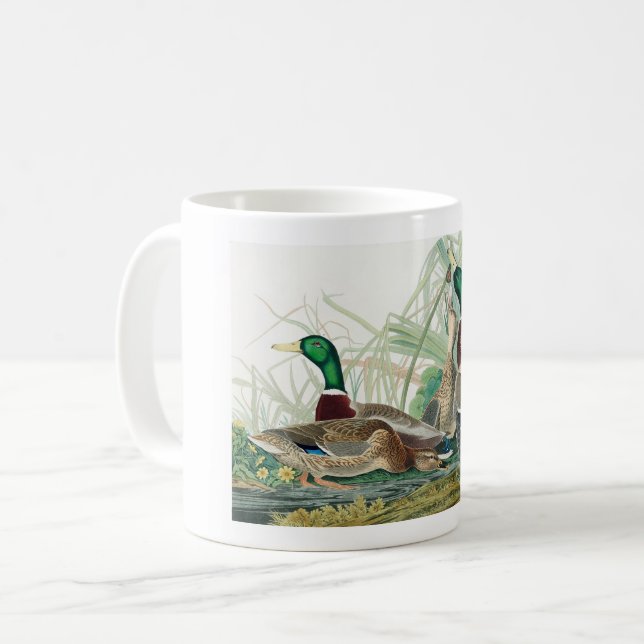 Mug Mallard Duck, 1834, From the Birds of America (Devant gauche)