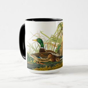Mug Mallard Duck par John James Audubon