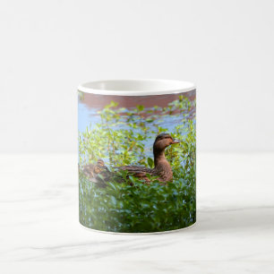 Mug Mallard et canettes-Natation par Shirley Taylor