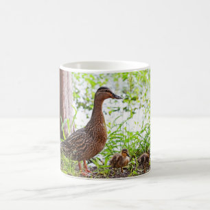 Mug Mallard et Ducklings par Shirley Taylor