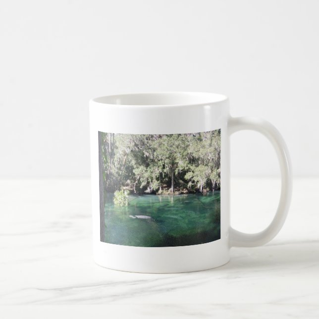 Mug Manatees à Blue Springs en Floride (Droite)