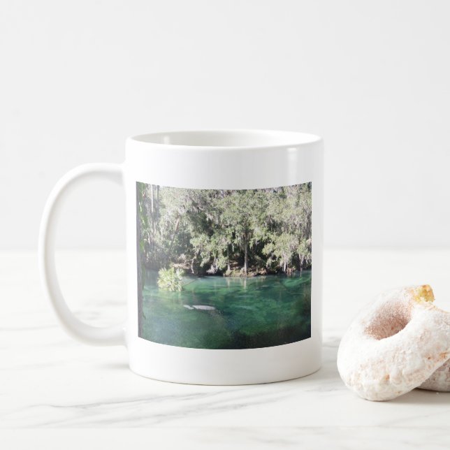 Mug Manatees à Blue Springs en Floride (Avec donut)